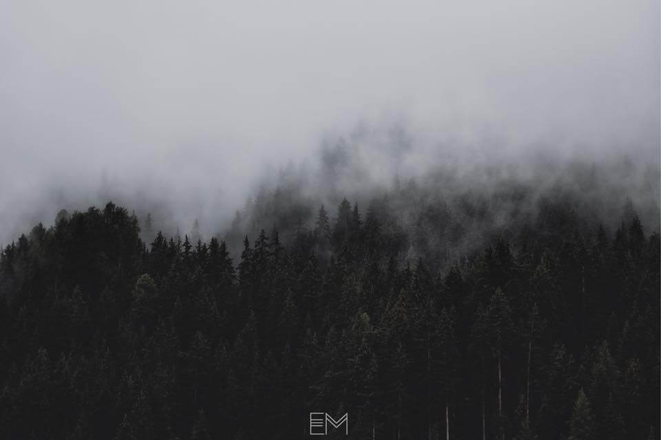 “Dances with You” by Em is a Slice of Heaven