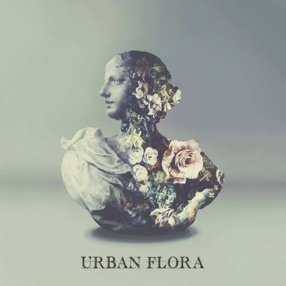 ‘Urban Flora’ is This Week’s Throwback Thursday Treat!