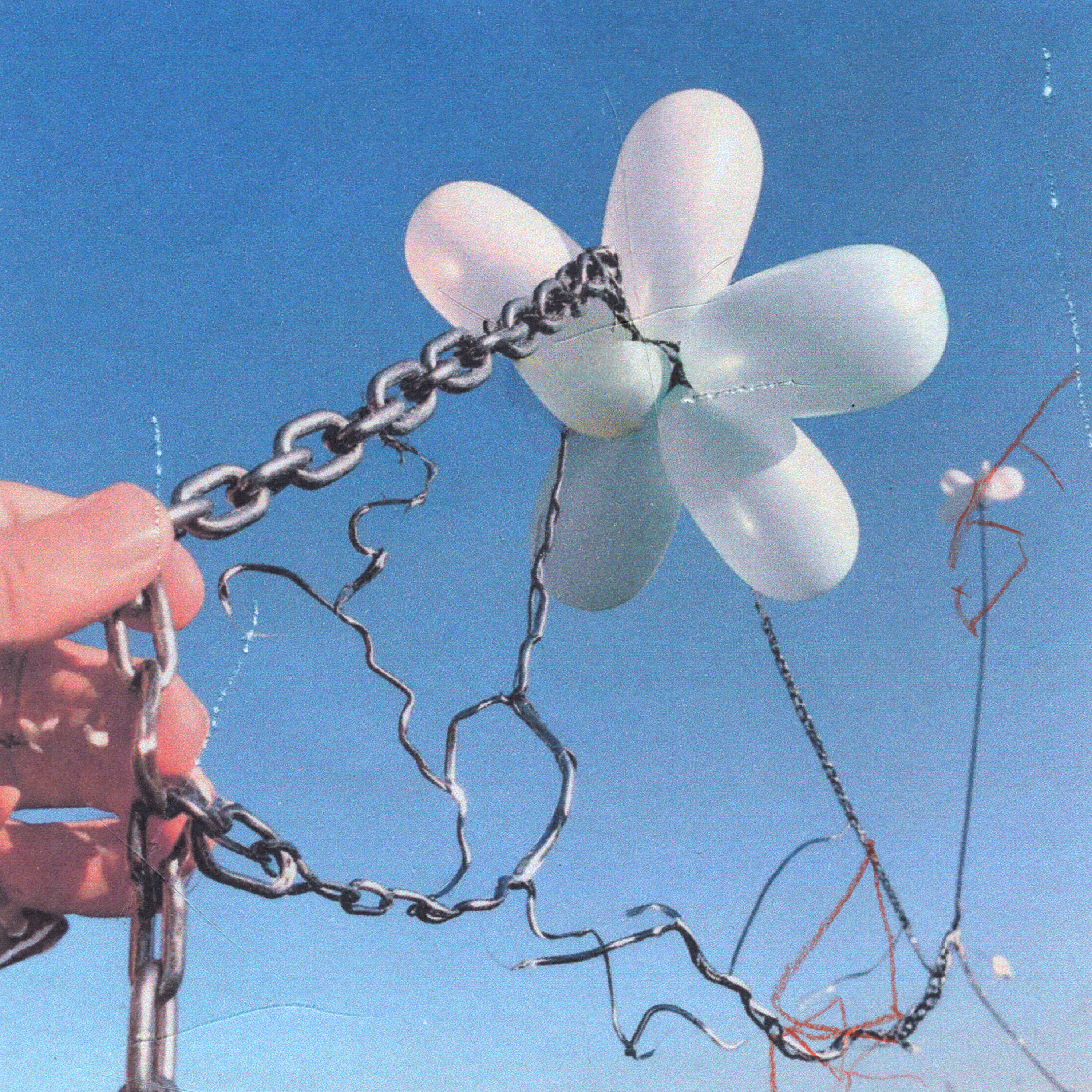 Daisy Chain Recordings Drops an Immaculate Compilation with ‘Dream Disc’